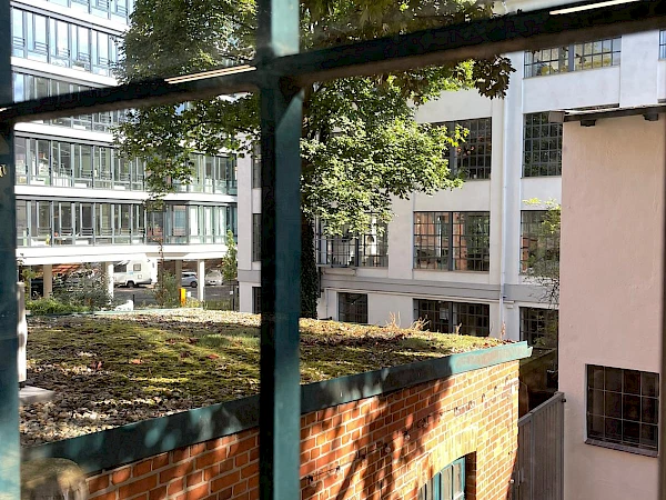 Ausblick aus dem B%C3%BCro Baustudio2punkt1